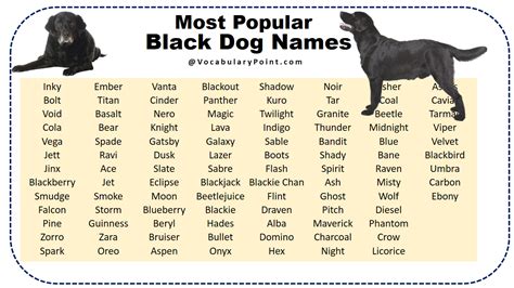 best black female dog names